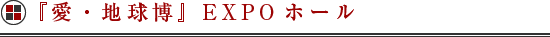 『愛・地球博』EXPOホールにて