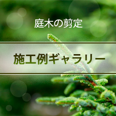 施工例ギャラリー