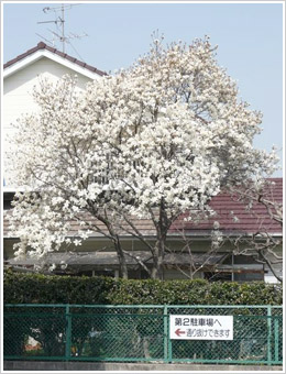 経過写真1