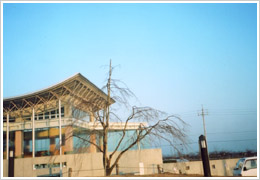枯れ枝除去後