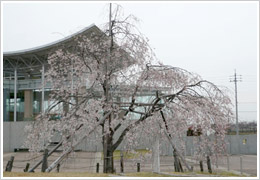 平成21年3月31日現在