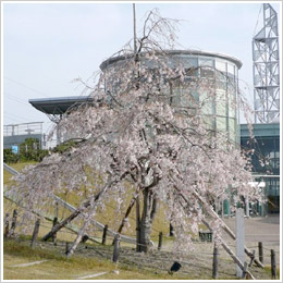 平成21年4月3日現在