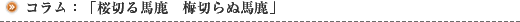 コラム:「桜切る馬鹿 梅切らぬ馬鹿」