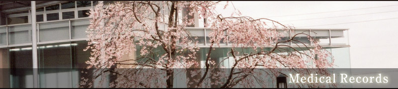 枝だれ桜の治療報告