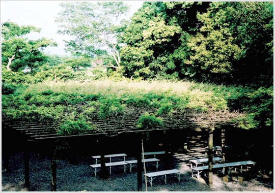 2004年5月14日撮影