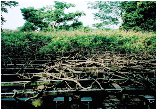 2004年5月14日撮影